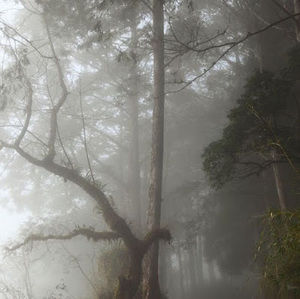 Meet your Posher, Mimi